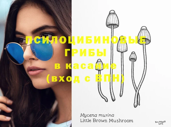 ECSTASY Армянск