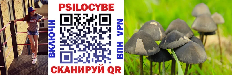 Галлюциногенные грибы ЛСД  Советск 