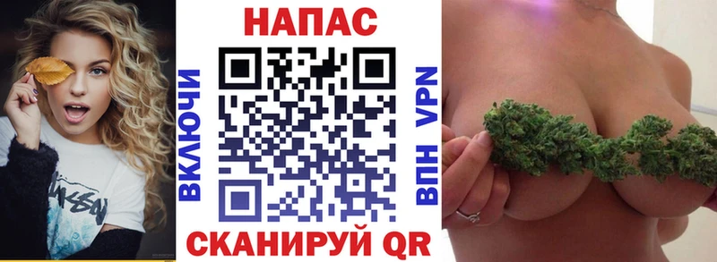 дарнет шоп  Советск  MEGA как войти  Шишки марихуана ГИДРОПОН 